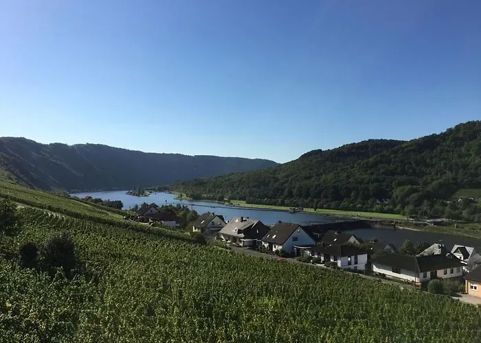 Sonnenhof 4 エンキルヒ